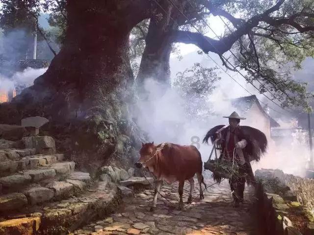 银河文明3