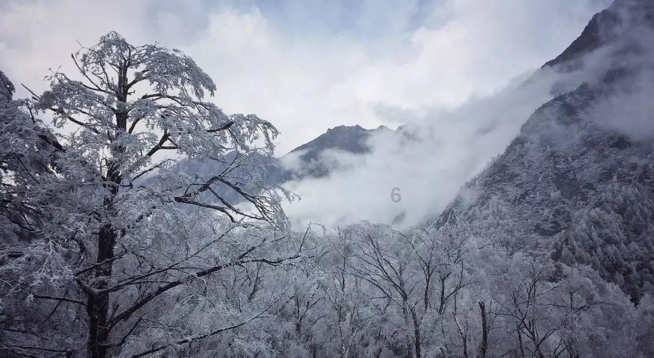 逃离未知丛林